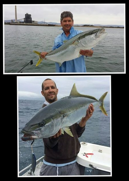 The T-Curve Revolution Bluewater Travel LT Spin 703 matched up with a Saragosa SW 5000 spinning reel proved the ideal set up for casting lures to medium-sized pelagics such as this Kimberley queenfish.